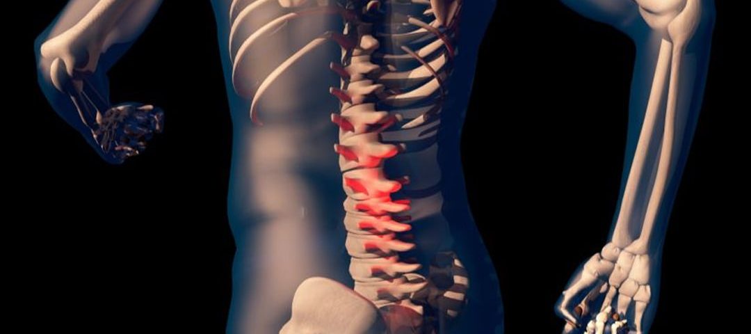 Chiropractic Adjustment vs Spinal Decompression