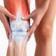 ACL INJURY